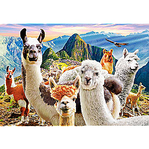 Puzle Llamas Selfie 1000 gab.