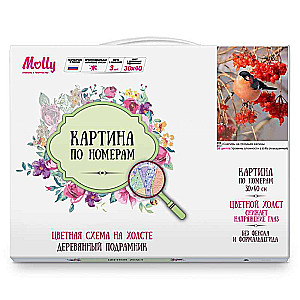 Glezniecība pēc cipariem 30x40 Krāsains audekls BULLFINCH UZ VIBURNUM OTAS 28 krāsas 