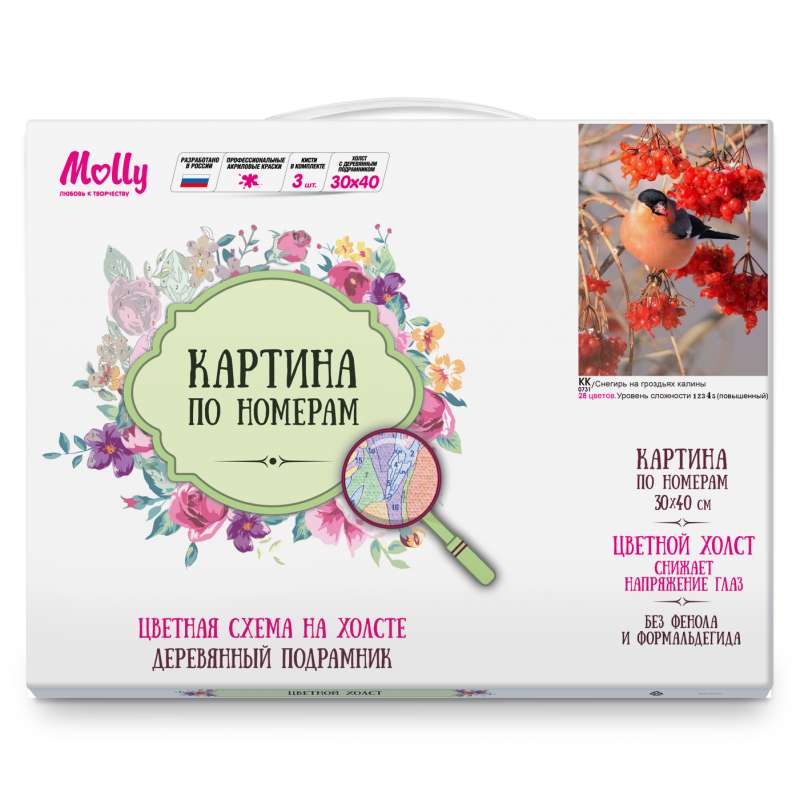 Glezniecība pēc cipariem 30x40 Krāsains audekls BULLFINCH UZ VIBURNUM OTAS 28 krāsas 