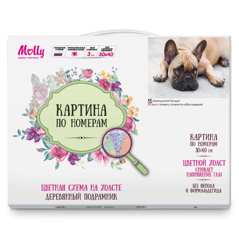 Glezniecība pēc cipariem 30x40 Krāsains audekls FRANČU BULDOGS 23 krāsas 
