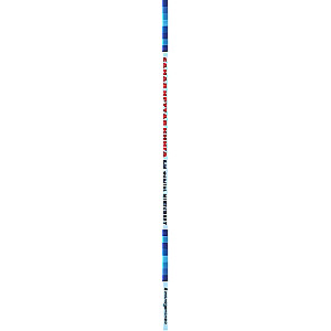 Vislabākā grāmata Minecraft faniem neoficiāla, bet oriģināla. Ziemas izdevums