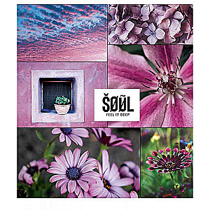 B5 formāta piezīmju grāmata, 60 lapas līnijās SOUL, assorti