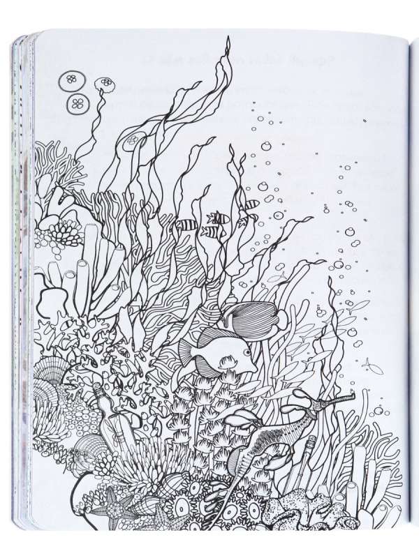 Bloknot 72l. Funny Book-Psiholoģija panākumiem-2