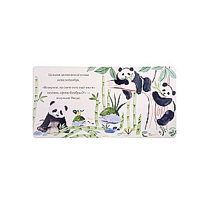 Kruša Panda
