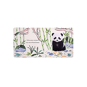 Kruša Panda