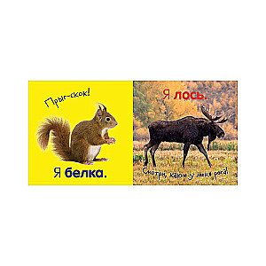 Pirmā bērna fotogrāmata. Dzīvnieki
