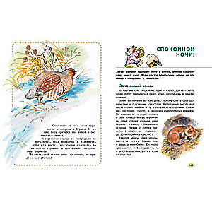 Lielā meža enciklopēdija. Iepazīstam dabu Krievijā