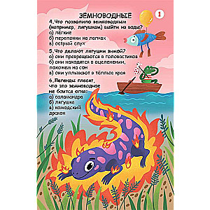 Kartiņu komplekts - Jautājumi un atbildes par dzīvnieku pasauli (50 divpusēju kartiņu)