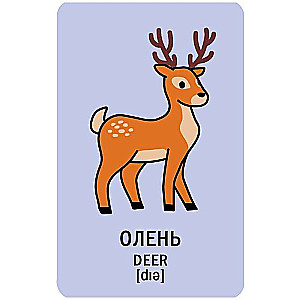 Galda spēle - Atrodi otro pusīti! Mazie un viņu vecāki