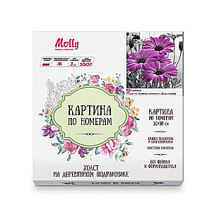 Картина по номерам (30Х30) ГЕРБЕРЫ (16 цветов)