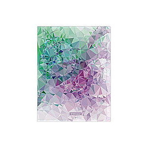 Plastmasas failu mape ErichKrause Violet Dynamique, ar 20 kabatām, A4