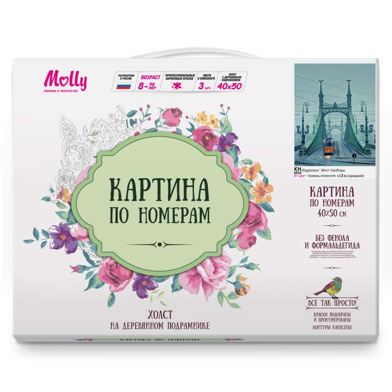 Glezna pēc numuriem (40x50) BUDAPEŠTA. BRĪVĪBAS TILTS (21 krāsa)