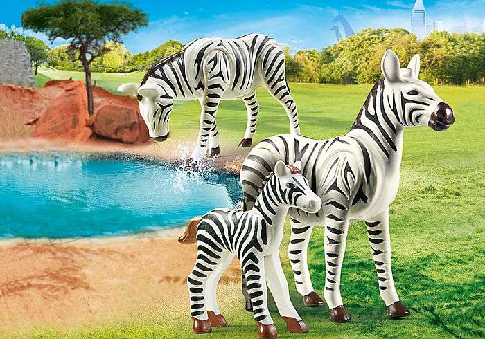 Зебры с жеребенком
