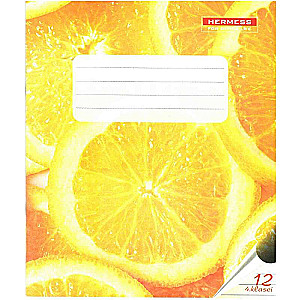Zinātnes burtnīca 12l, līnija, 4. klase. 170*205 mm