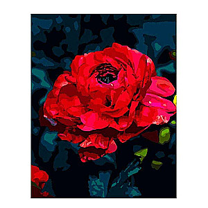 Glezna krāsošanai pēc numuriem uz koka 40x50 cm SARKANĀ ZIEDA