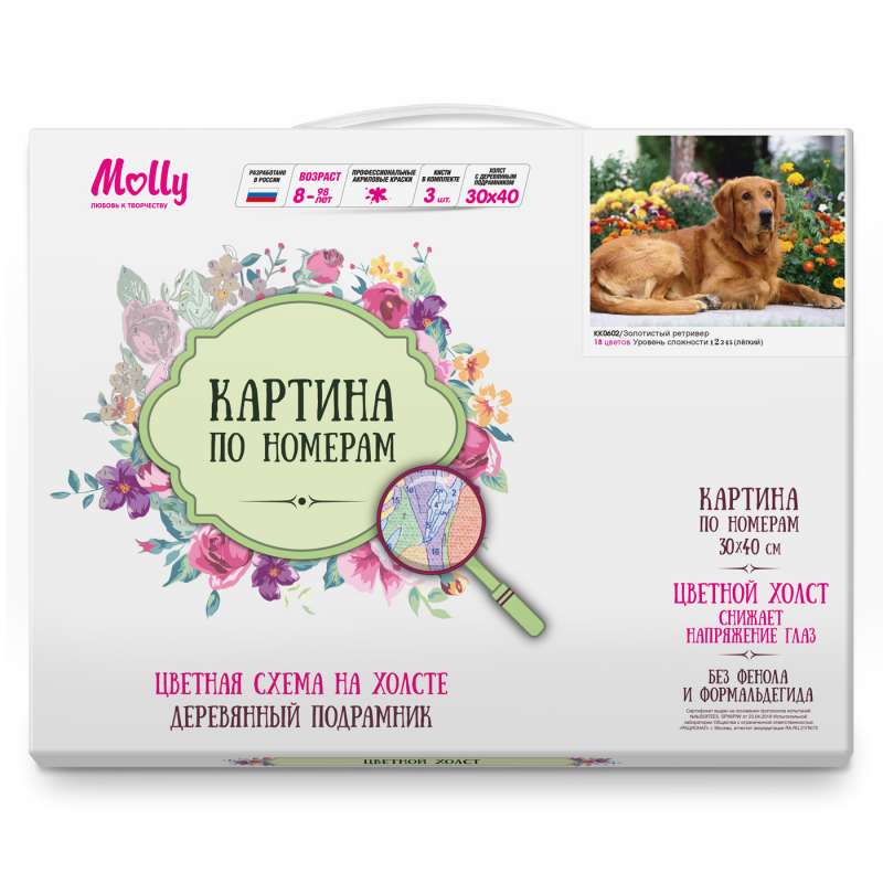 Glezna pēc numuriem -   Zelta retrīvers(18 krāsas)