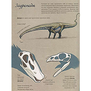 Dinozauru pasaulē. Grāmata ar logiem