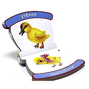 Dzīvnieki