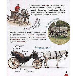 Transports