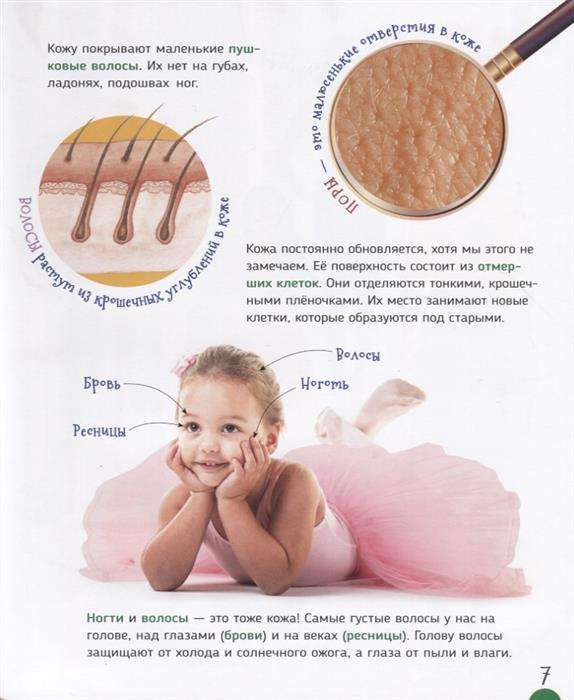 Cilvēka ķermenis
