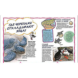 Mana pirmā enciklopēdija jautājumiem un atbildēm