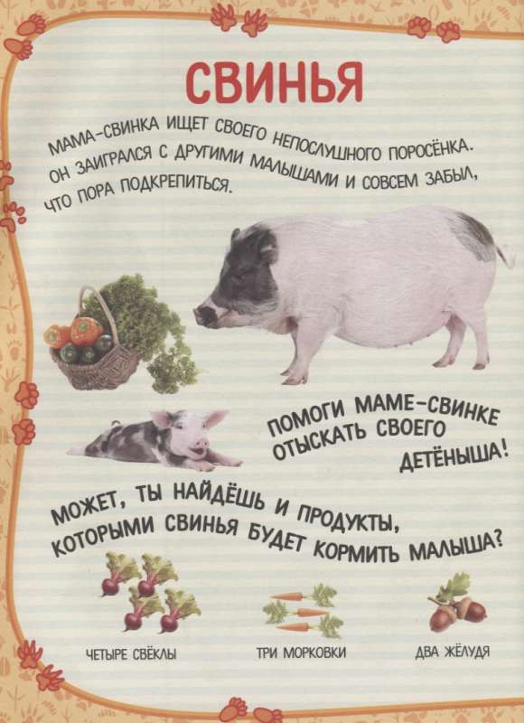 Lielā grāmata slēpņiem un atradumiem