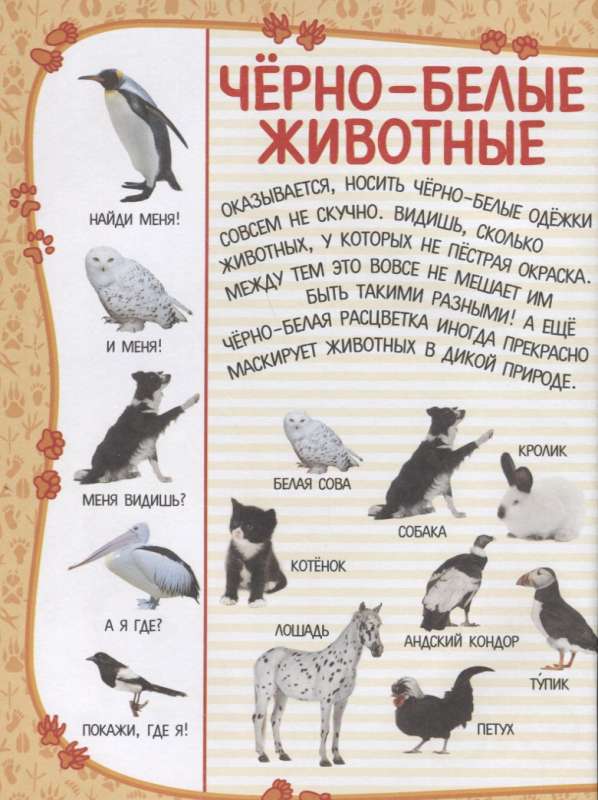 Lielā grāmata slēpņiem un atradumiem