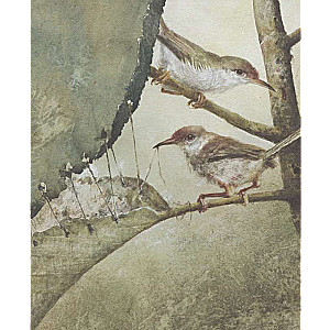 Rikī-Tikī-Tavi