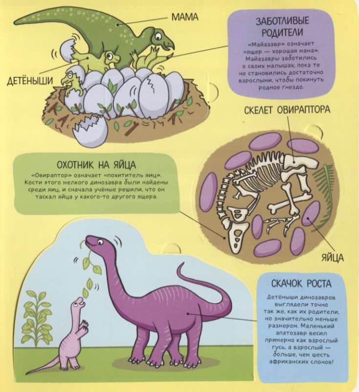 Dinozauri