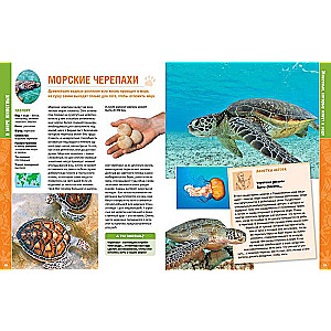 Dabā dzīvnieku: enciklopēdija