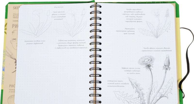 Sketchbook. Рисуем цветы. Экспресс-курс