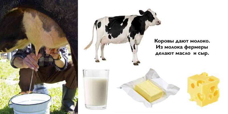 Pirmā zināšanu grāmata. Ferma
