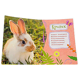 Fermā