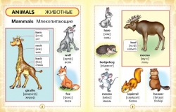 Англо-русский визуальный словарь