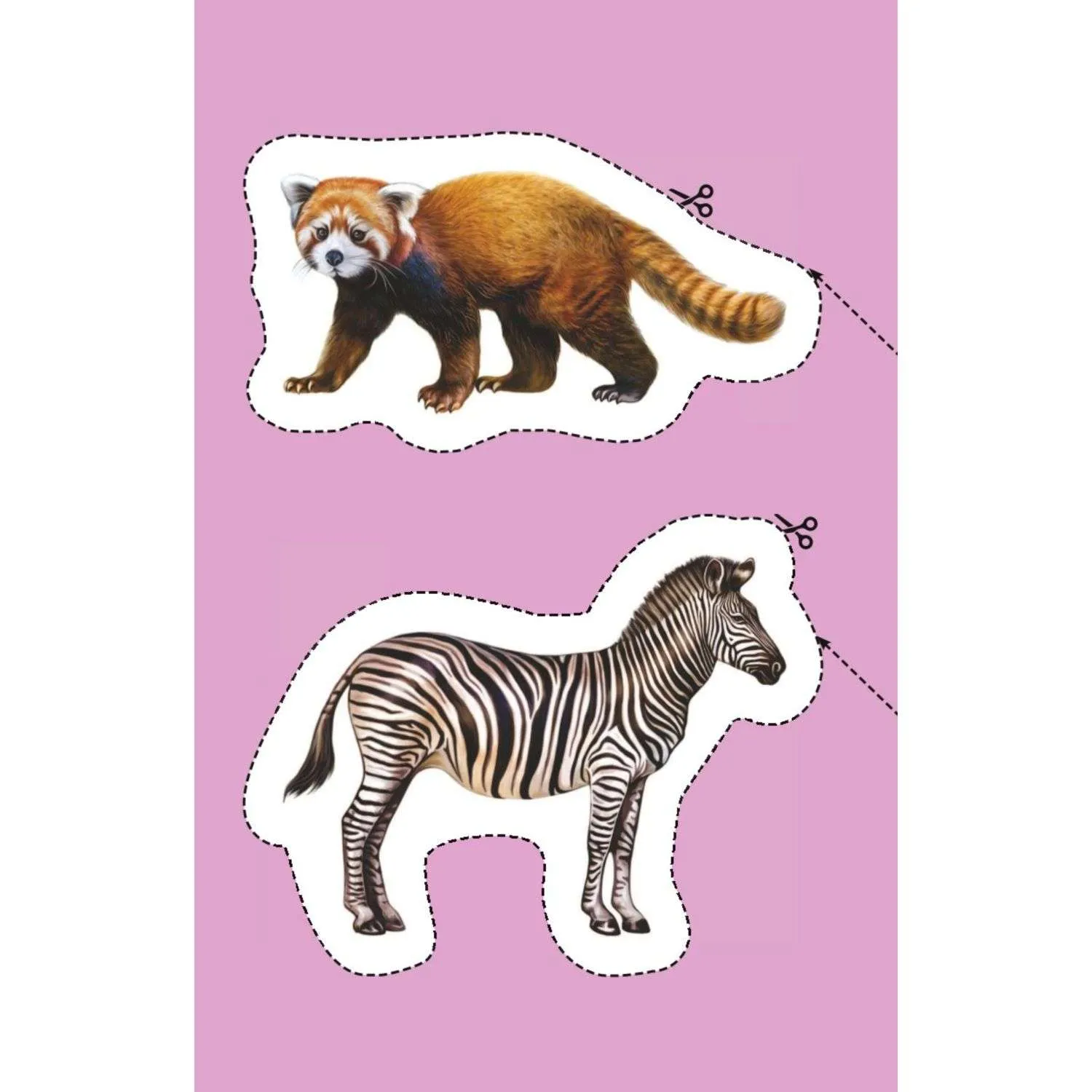 Manas pirmās izgrieznes. Dzīvnieki