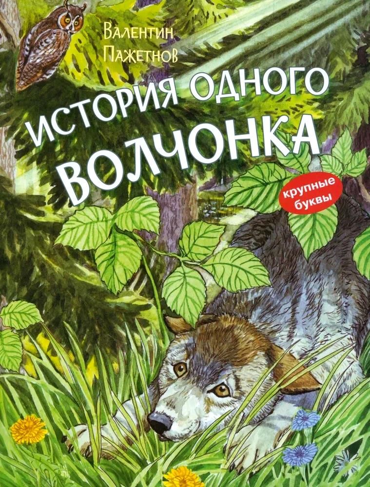 История одного волчонка. Рассказ. Книжная карусель