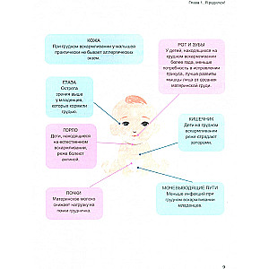 Pirmie 28 dzīves dienas: visi neontologa noslēpumi infografikā