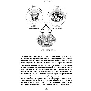 EVA. Sieviešu ķermeņa evolūcijas stāsts. Cilvēces stāsts