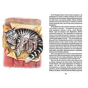 Stāsti par dzīvniekiem