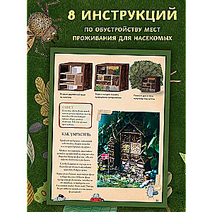 Kāpuru pilsēta