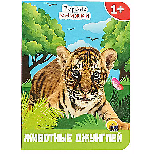 Džungļu dzīvnieki