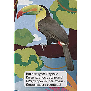 Džungļu dzīvnieki