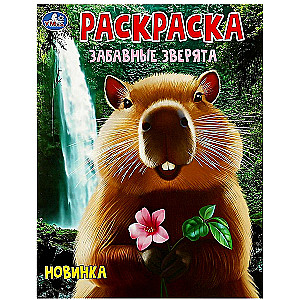 Jautrie zvēriņi. Krāsojamā grāmata