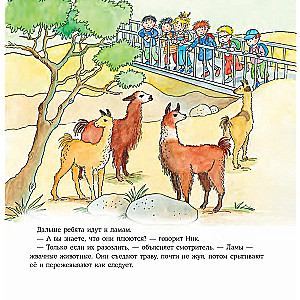 Konija dodas uz zooloģisko dārzu