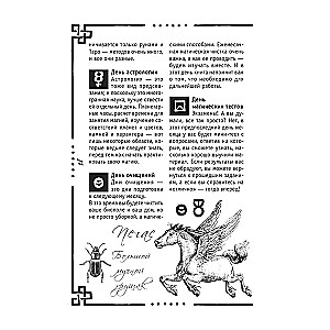 Викка. Книга теней