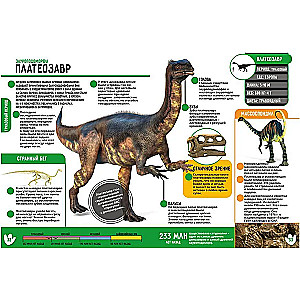 Dinozauri. 250 neticamu faktu