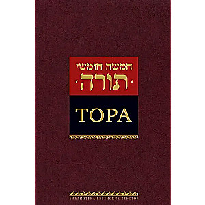Тора