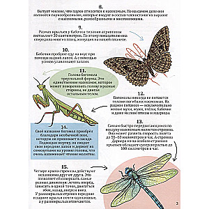365 fakti par kukaiņiem un zirnekļiem