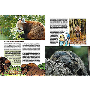 Izmirušo dzīvnieku zooloģiskais dārzs. 2. sējums