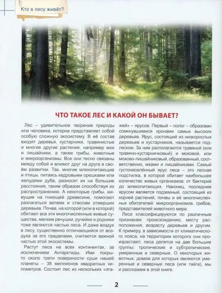 Kas dzīvo mežā?